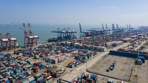 8月份貨物進出口總額38744億元，同比增長3.5%，國內貿易代理作用凸顯